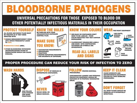 Printable Bloodborne Pathogens Poster